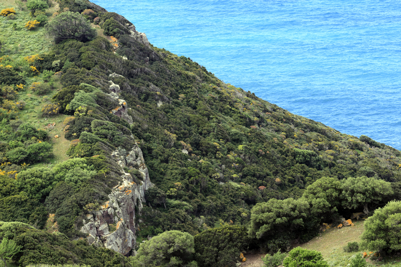 2016-04-26_113432 sardinien-2016.jpg - Westkste sdlich von Alghero